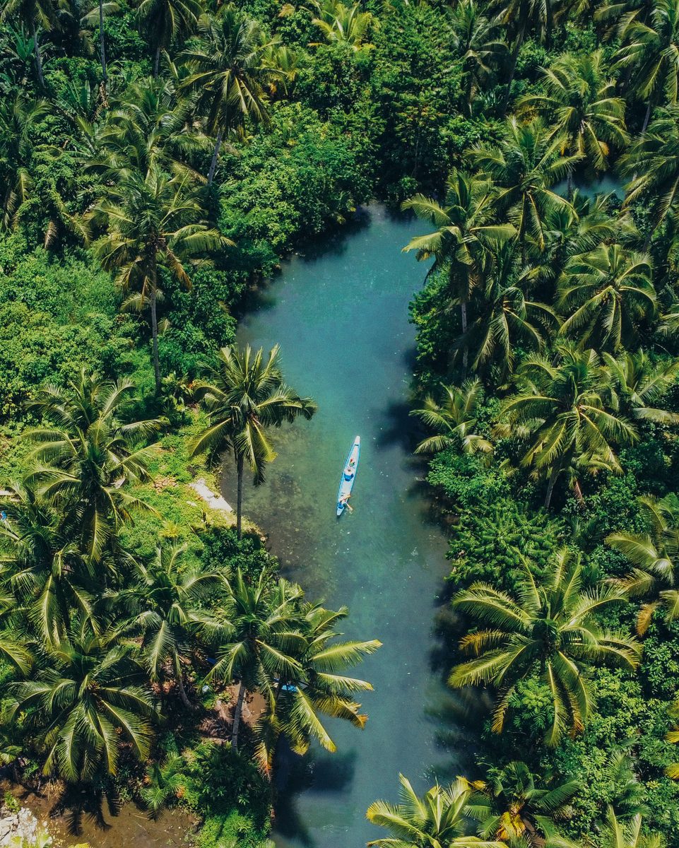 Aerial view of a boat on a tropical river